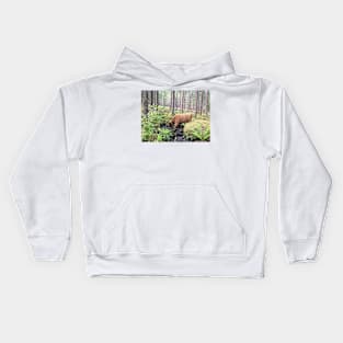 Scottish Highland Cattle Calf 1800 Kids Hoodie